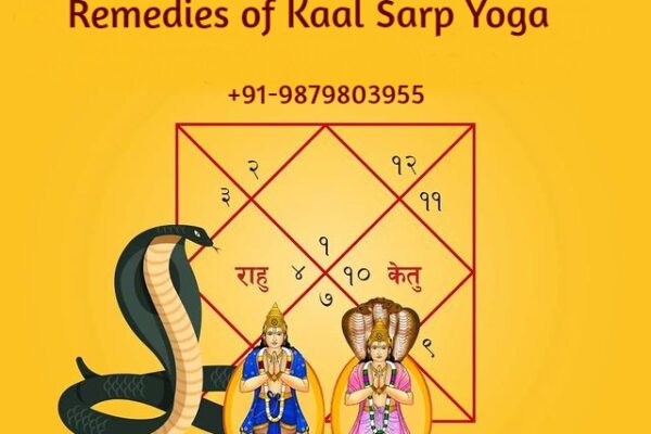 Ambika Jyotish – Famous Astrologer in Ahmedabad