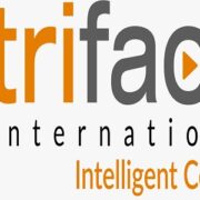 Game Asset Designing Agency