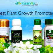 Kisan4u